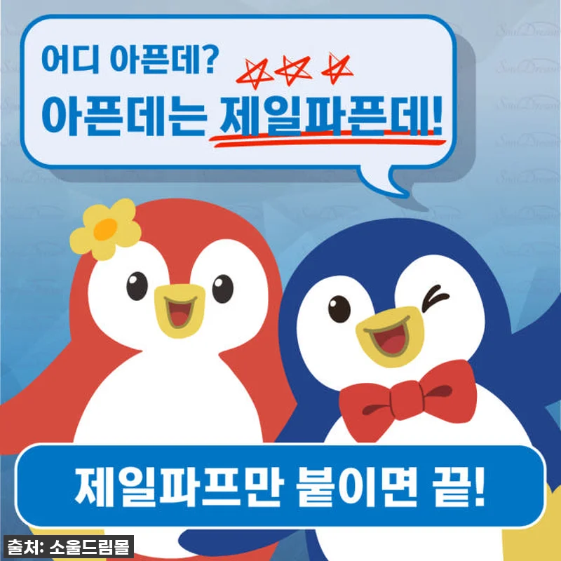 제일파프 쿨 파스 50매입 [국내총판 관련 이미지 1