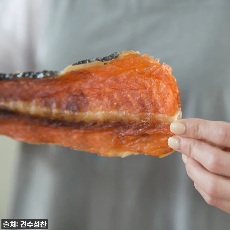 강아지 수제 간식 연어왕갈비 반마리, 관련 이미지 2