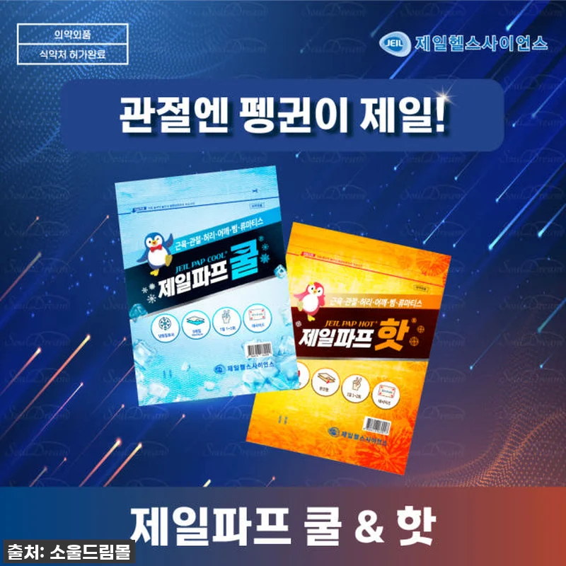 제일파프 쿨 파스 50매입 [국내총판 관련 이미지 2