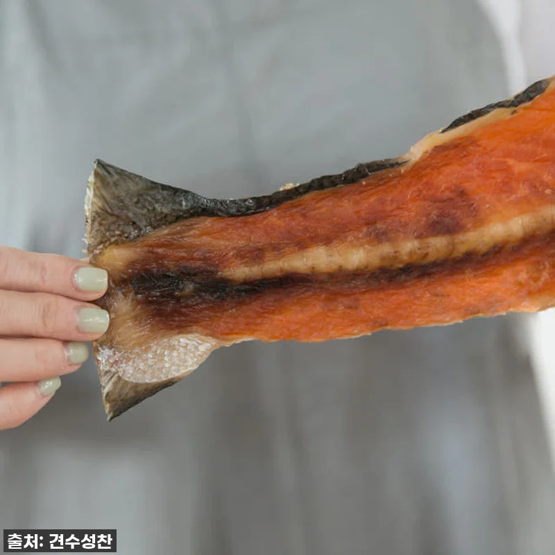 강아지 수제 간식 연어왕갈비 반마리, 관련 이미지 3