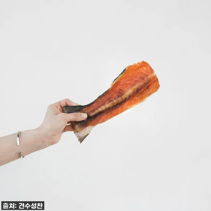 강아지 수제 간식 연어왕갈비 반마리, 관련 이미지 5