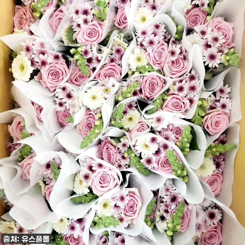 이 가격 실화?! 유스풀몰 단체 미니 관련 이미지 5