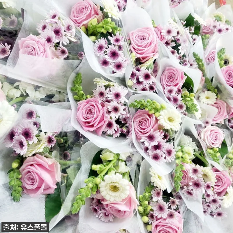 이 가격 실화?! 유스풀몰 단체 미니 관련 이미지 6