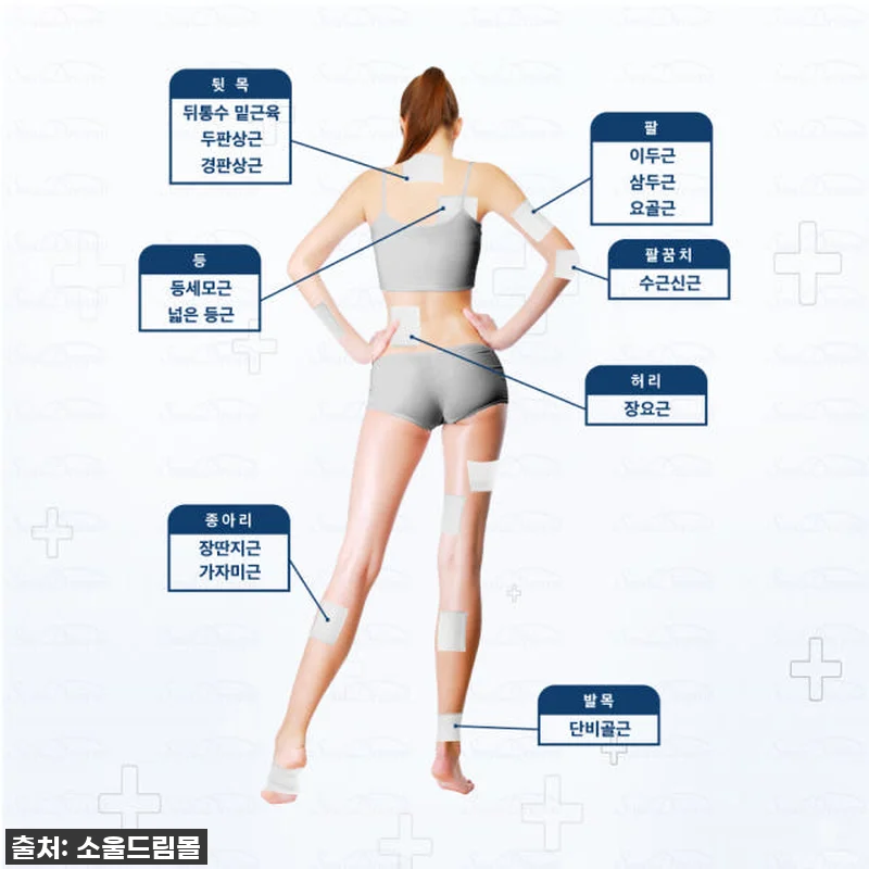 제일파프 쿨 파스 50매입 [국내총판 관련 이미지 7