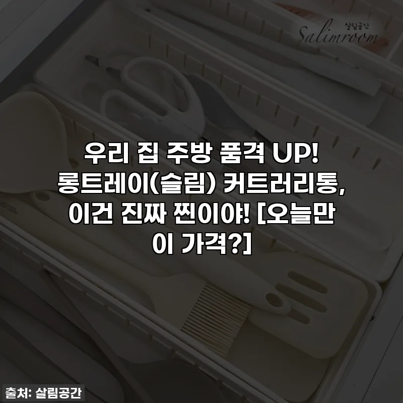우리 집 주방 품격 UP! 롱트레이(슬림) 커트러리통, 이건 진짜 찐이야! [오늘만 이 가격?]