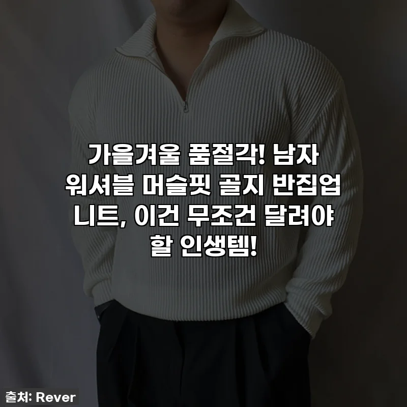 가을겨울 품절각! 남자 워셔블 머슬핏 골지 반집업 니트, 이건 무조건 달려야 할 인생템!