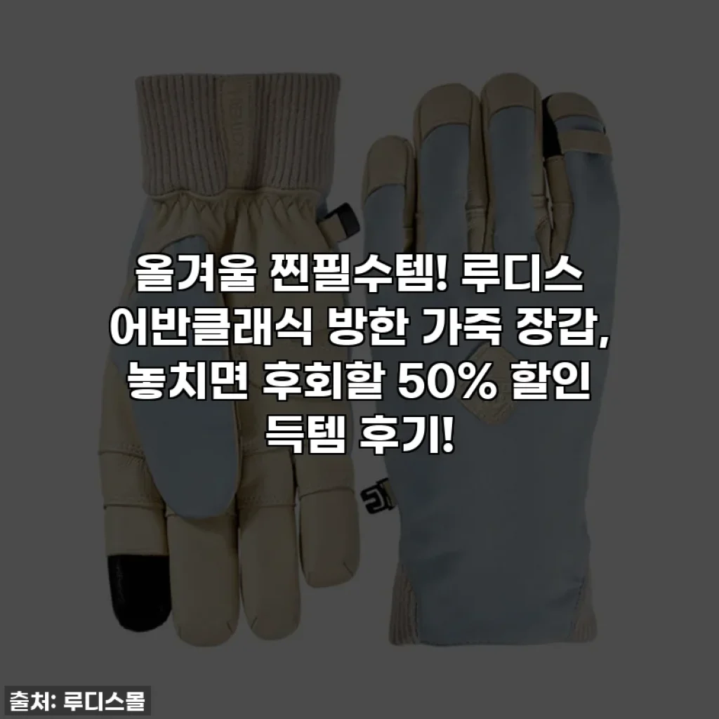 올겨울 찐필수템! 루디스 어반클래식 방한 가죽 장갑, 놓치면 후회할 50% 할인 득템 후기!