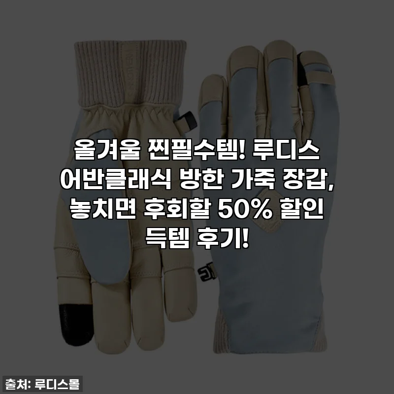 올겨울 찐필수템! 루디스 어반클래식 방한 가죽 장갑, 놓치면 후회할 50% 할인 득템 후기!