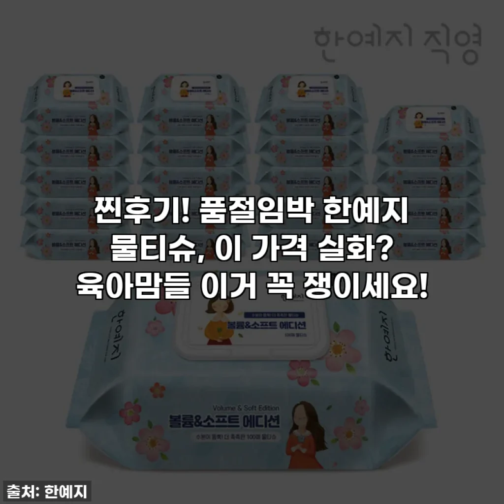찐후기! 품절임박 한예지 물티슈, 이 가격 실화? 육아맘들 이거 꼭 쟁이세요!