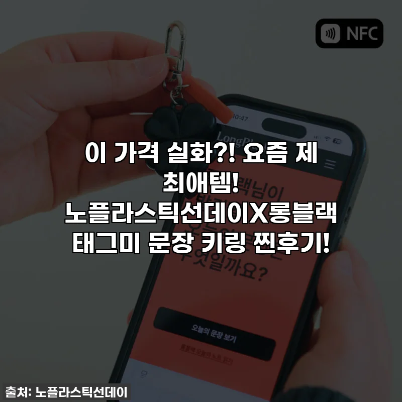 이 가격 실화?! 요즘 제 최애템! 노플라스틱선데이X롱블랙 태그미 문장 키링 찐후기!