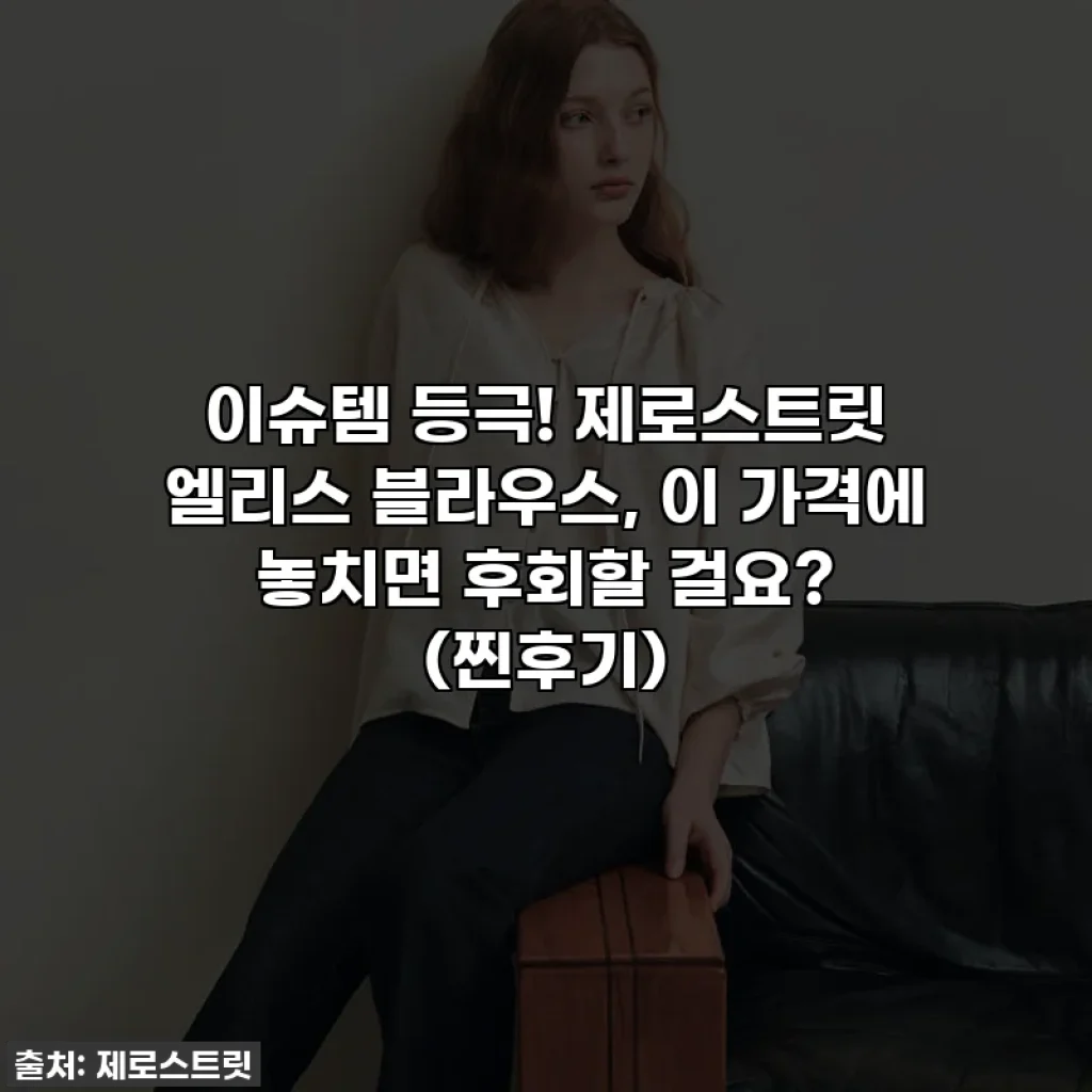 이슈템 등극! 제로스트릿 엘리스 블라우스, 이 가격에 놓치면 후회할 걸요? (찐후기)