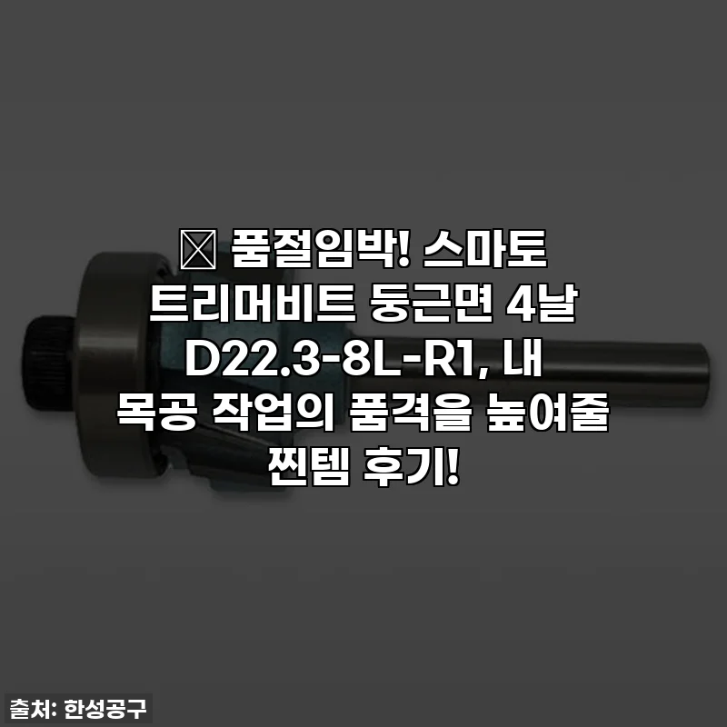 ✨ 품절임박! 스마토 트리머비트 둥근면 4날 D22.3-8L-R1, 내 목공 작업의 품격을 높여줄 찐템 후기!