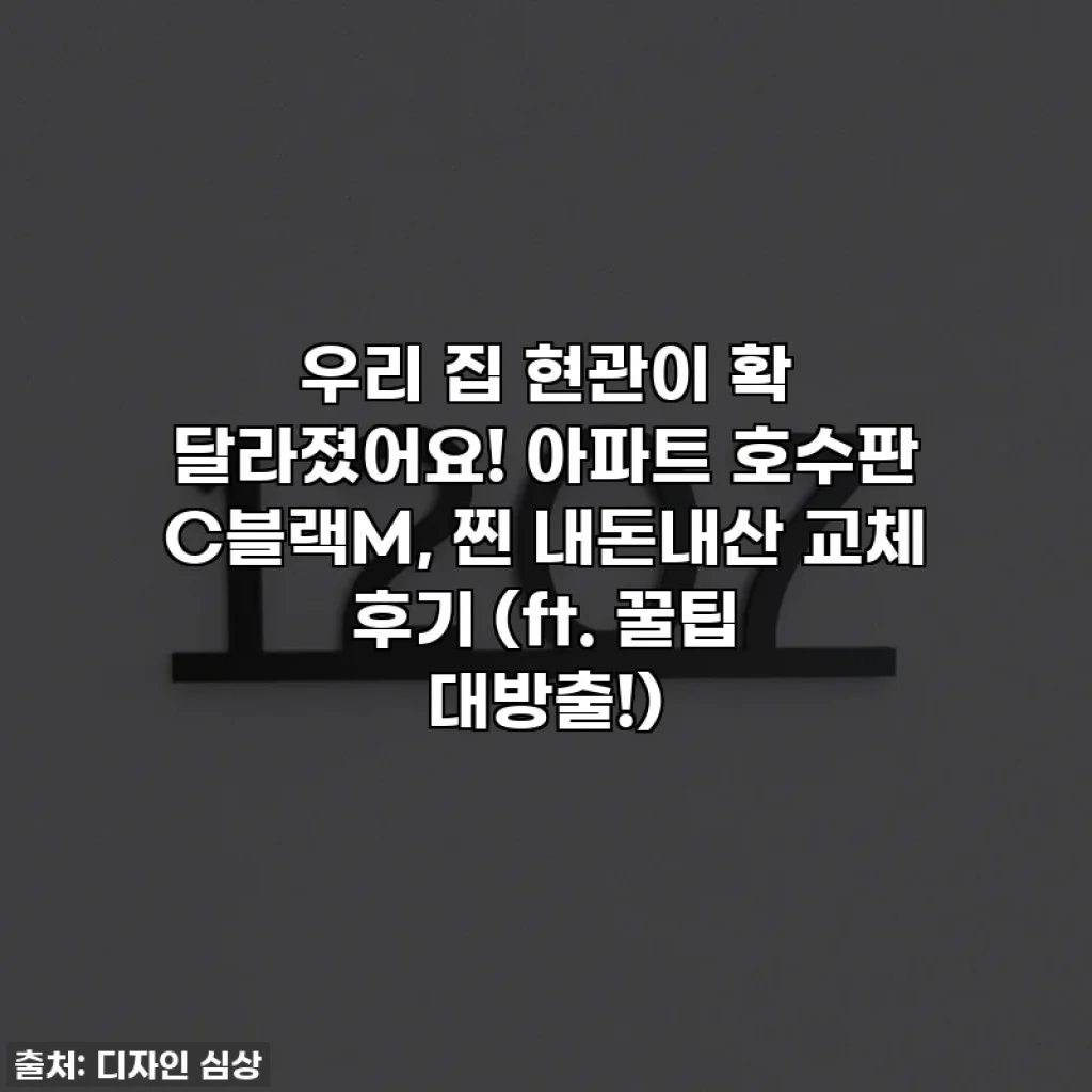 우리 집 현관이 확 달라졌어요! 아파트 호수판 C블랙M, 찐 내돈내산 교체 후기 (ft. 꿀팁 대방출!)