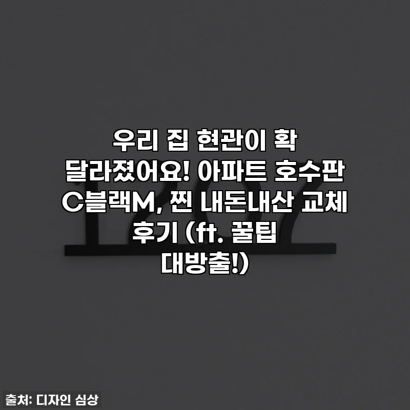 우리 집 현관이 확 달라졌어요! 아파트 호수판 C블랙M, 찐 내돈내산 교체 후기 (ft. 꿀팁 대방출!)