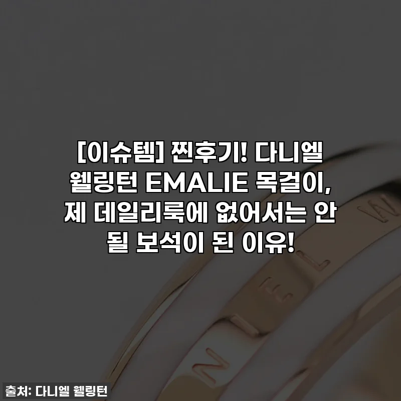 [이슈템] 찐후기! 다니엘 웰링턴 EMALIE 목걸이, 제 데일리룩에 없어서는 안 될 보석이 된 이유!