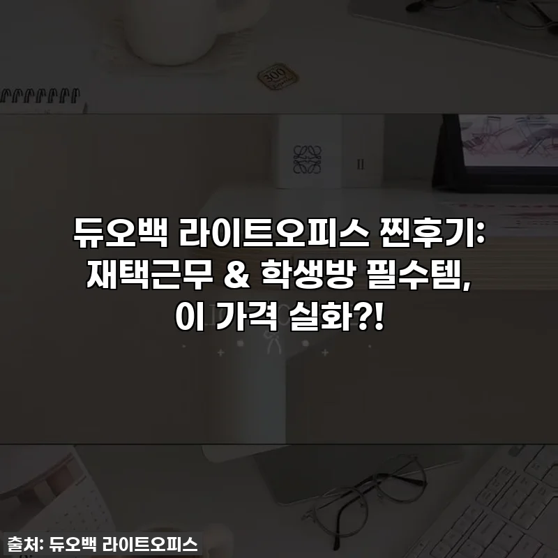 듀오백 라이트오피스 찐후기: 재택근무 & 학생방 필수템, 이 가격 실화?!