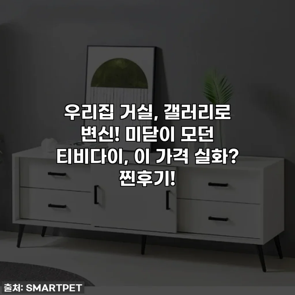 우리집 거실, 갤러리로 변신! 미닫이 모던 티비다이, 이 가격 실화? 찐후기!