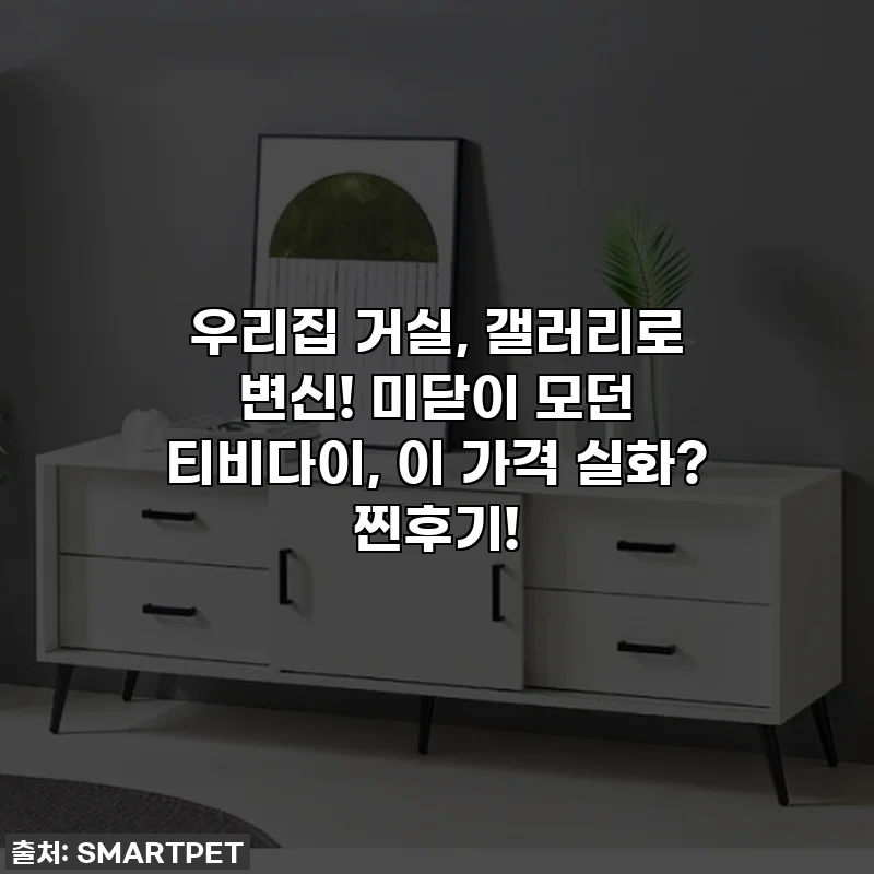 우리집 거실, 갤러리로 변신! 미닫이 모던 티비다이, 이 가격 실화? 찐후기!