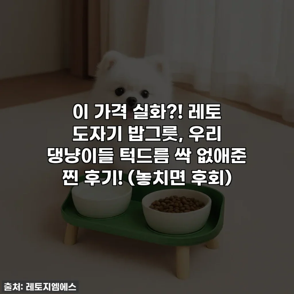 이 가격 실화?! 레토 도자기 밥그릇, 우리 댕냥이들 턱드름 싹 없애준 찐 후기! (놓치면 후회)