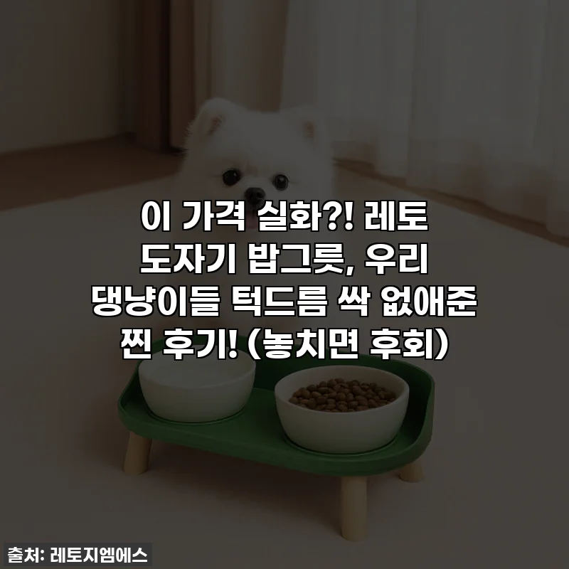 이 가격 실화?! 레토 도자기 밥그릇, 우리 댕냥이들 턱드름 싹 없애준 찐 후기! (놓치면 후회)