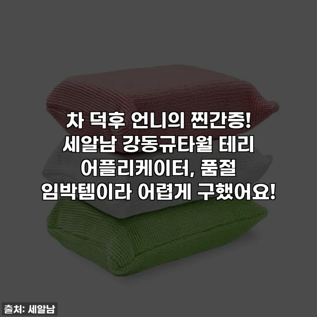 차 덕후 언니의 찐간증! 세알남 강동규타월 테리 어플리케이터, 품절 임박템이라 어렵게 구했어요!