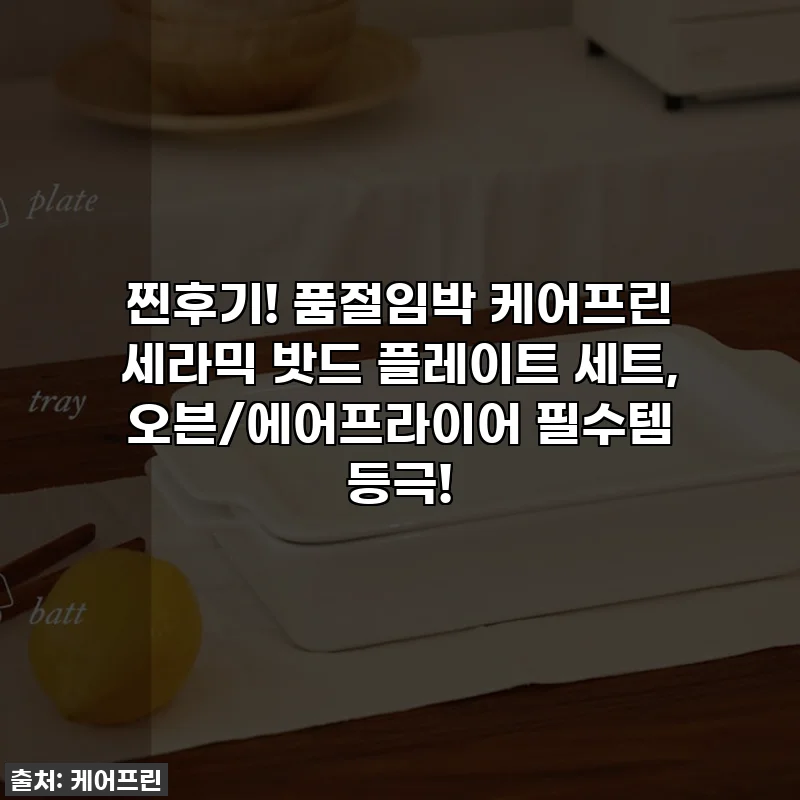 찐후기! 품절임박 케어프린 세라믹 밧드 플레이트 세트, 오븐/에어프라이어 필수템 등극!