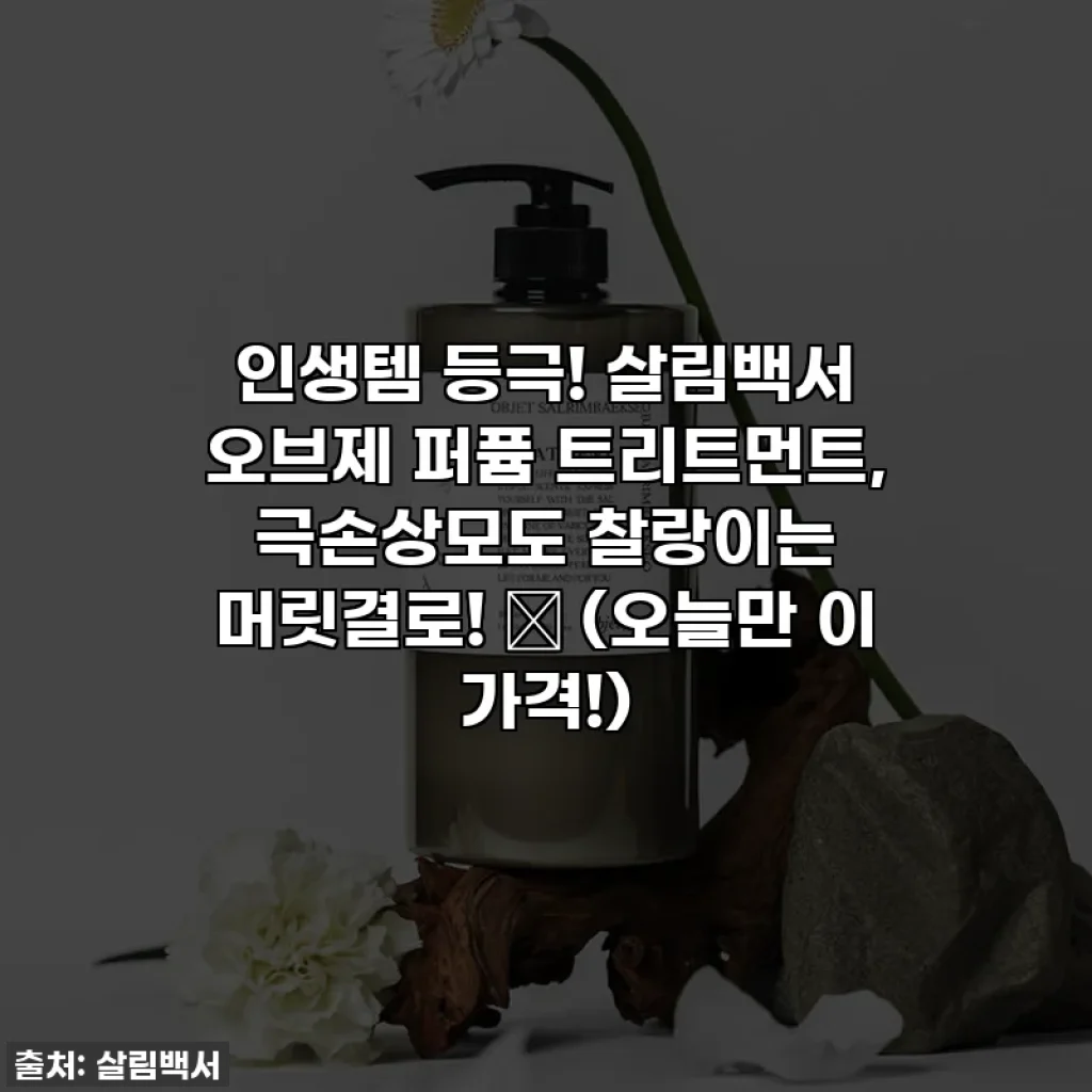 인생템 등극! 살림백서 오브제 퍼퓸 트리트먼트, 극손상모도 찰랑이는 머릿결로! ✨ (오늘만 이 가격!)