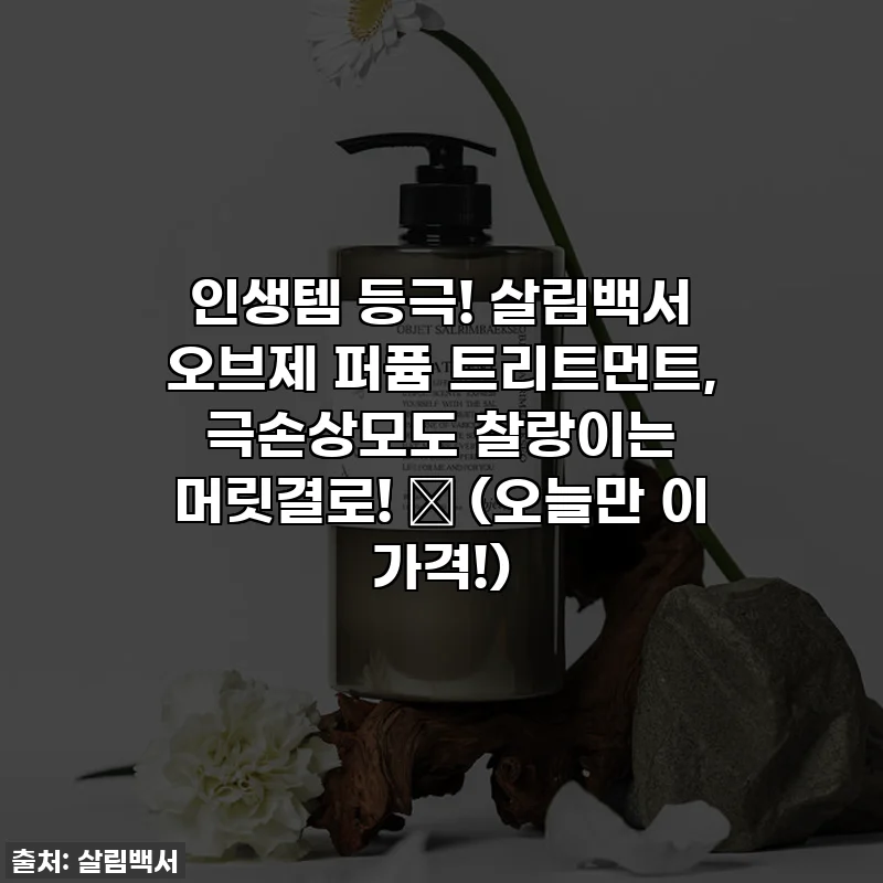 인생템 등극! 살림백서 오브제 퍼퓸 트리트먼트, 극손상모도 찰랑이는 머릿결로! ✨ (오늘만 이 가격!)
