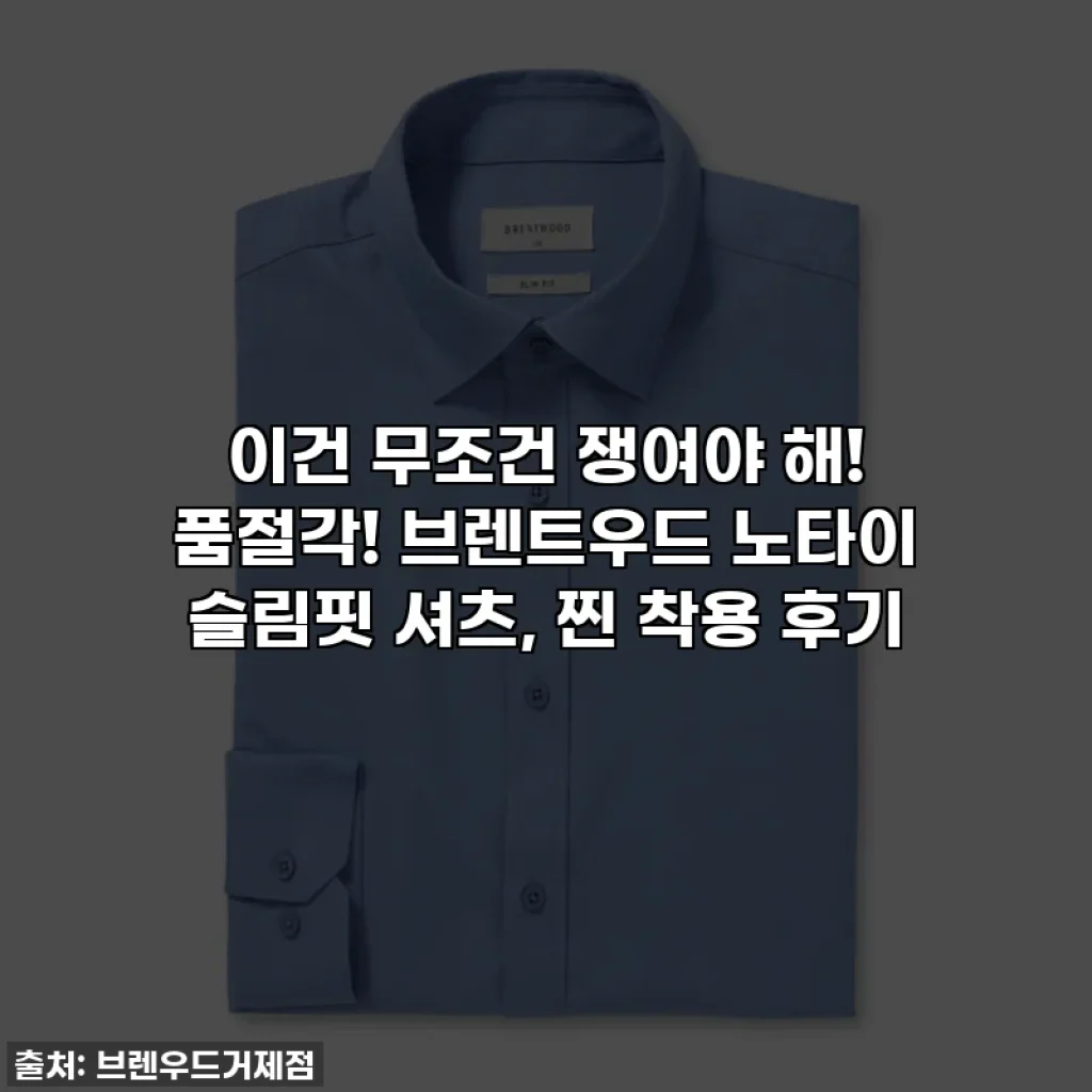 이건 무조건 쟁여야 해! 품절각! 브렌트우드 노타이 슬림핏 셔츠, 찐 착용 후기
