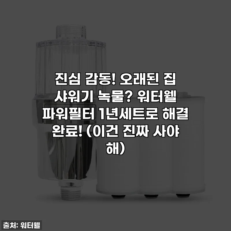 진심 감동! 오래된 집 샤워기 녹물? 워터웰 파워필터 1년세트로 해결 완료! (이건 진짜 사야 해)