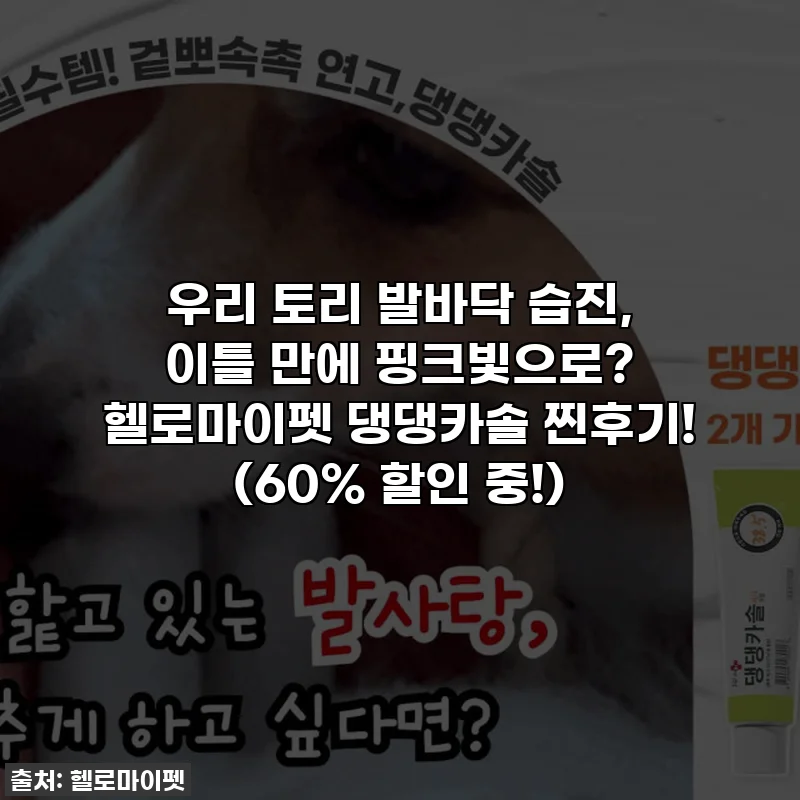 우리 토리 발바닥 습진, 이틀 만에 핑크빛으로? 헬로마이펫 댕댕카솔 찐후기! (60% 할인 중!)