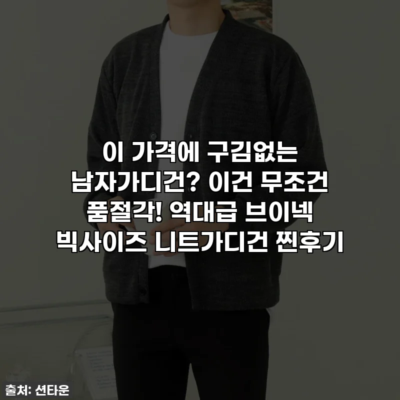 이 가격에 구김없는 남자가디건? 이건 무조건 품절각! 역대급 브이넥 빅사이즈 니트가디건 찐후기
