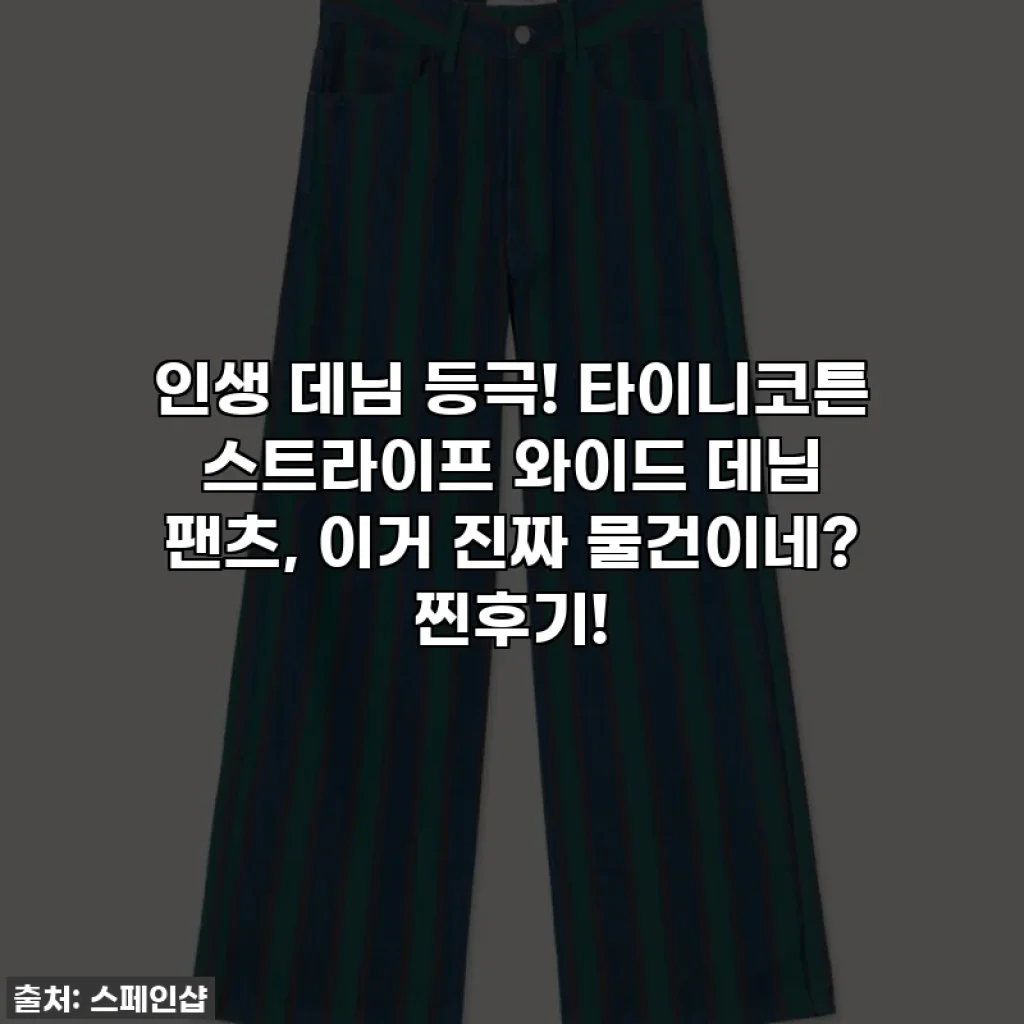 인생 데님 등극! 타이니코튼 스트라이프 와이드 데님 팬츠, 이거 진짜 물건이네? 찐후기!