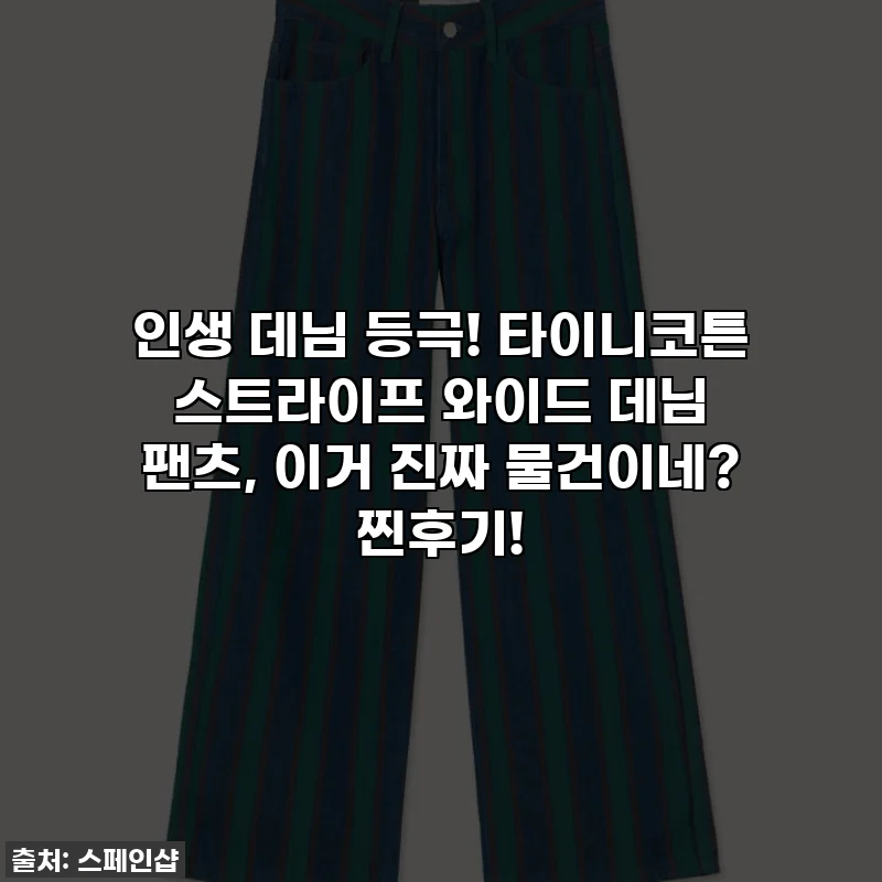 인생 데님 등극! 타이니코튼 스트라이프 와이드 데님 팬츠, 이거 진짜 물건이네? 찐후기!