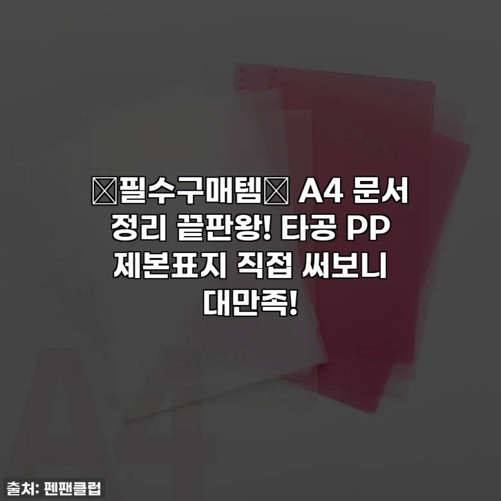 💖필수구매템💖 A4 문서 정리 끝판왕! 타공 PP 제본표지 직접 써보니 대만족!