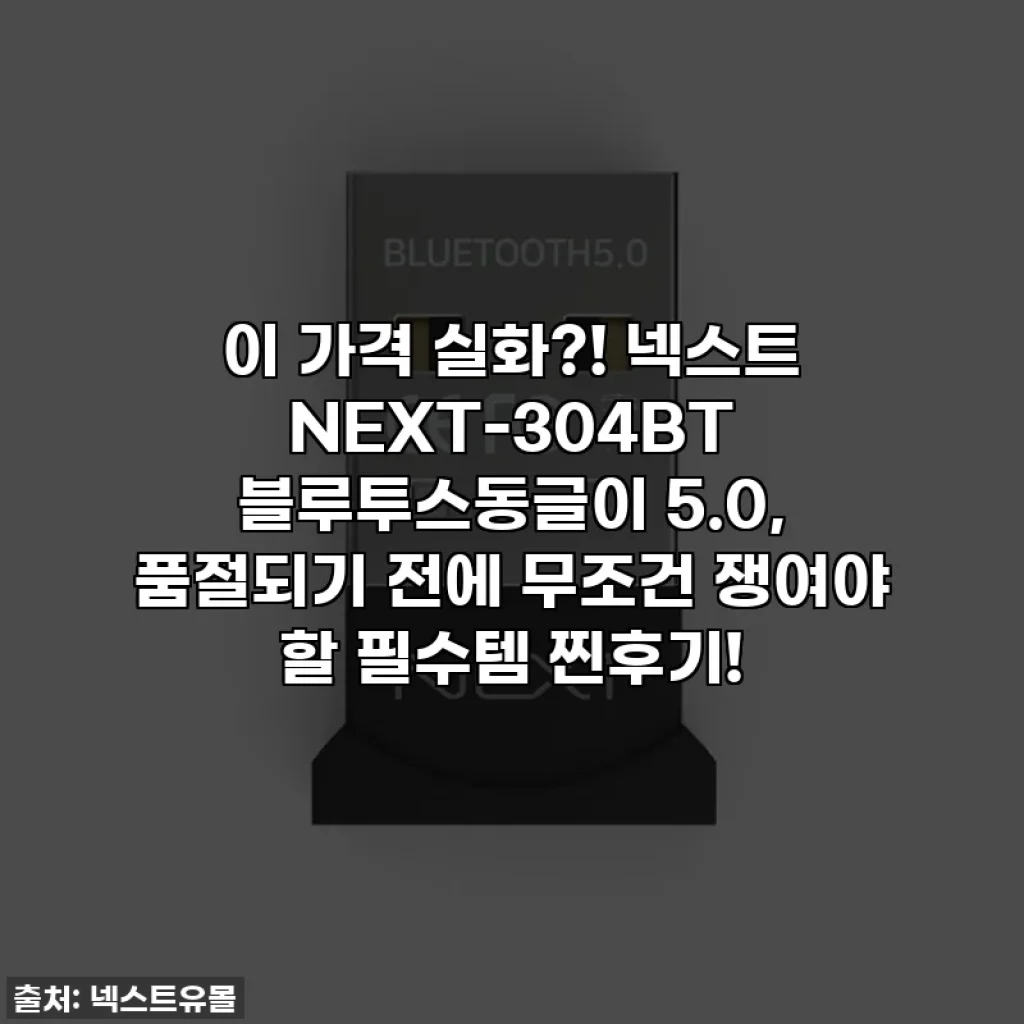 이 가격 실화?! 넥스트 NEXT-304BT 블루투스동글이 5.0, 품절되기 전에 무조건 쟁여야 할 필수템 찐후기!