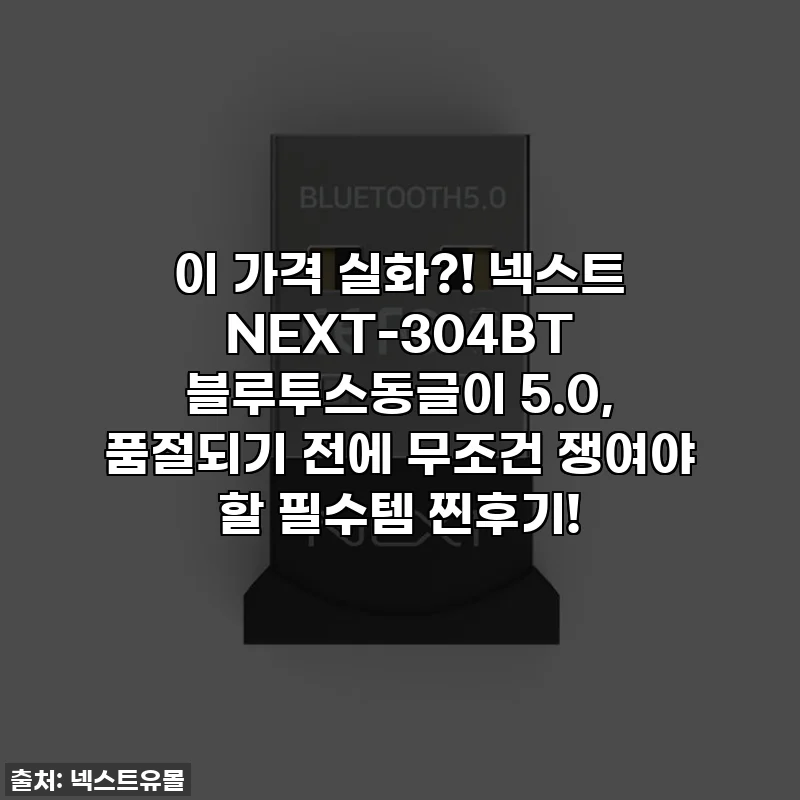 이 가격 실화?! 넥스트 NEXT-304BT 블루투스동글이 5.0, 품절되기 전에 무조건 쟁여야 할 필수템 찐후기!