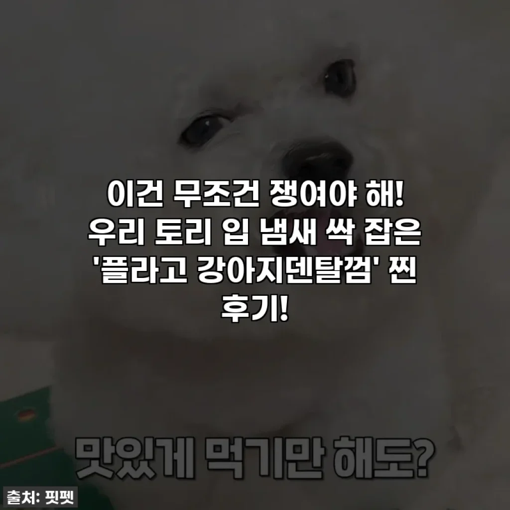 이건 무조건 쟁여야 해! 우리 토리 입 냄새 싹 잡은 '플라고 강아지덴탈껌' 찐 후기!