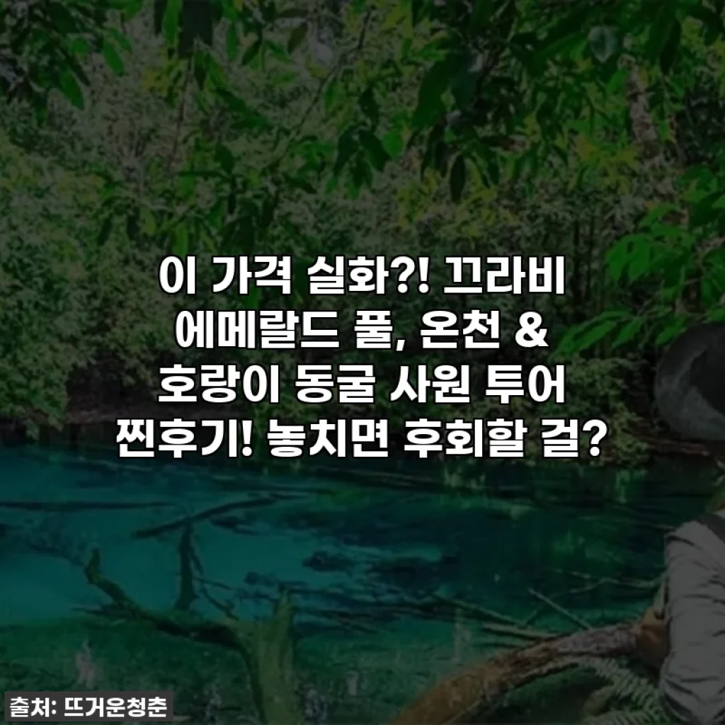 이 가격 실화?! 끄라비 에메랄드 풀, 온천 & 호랑이 동굴 사원 투어 찐후기! 놓치면 후회할 걸?