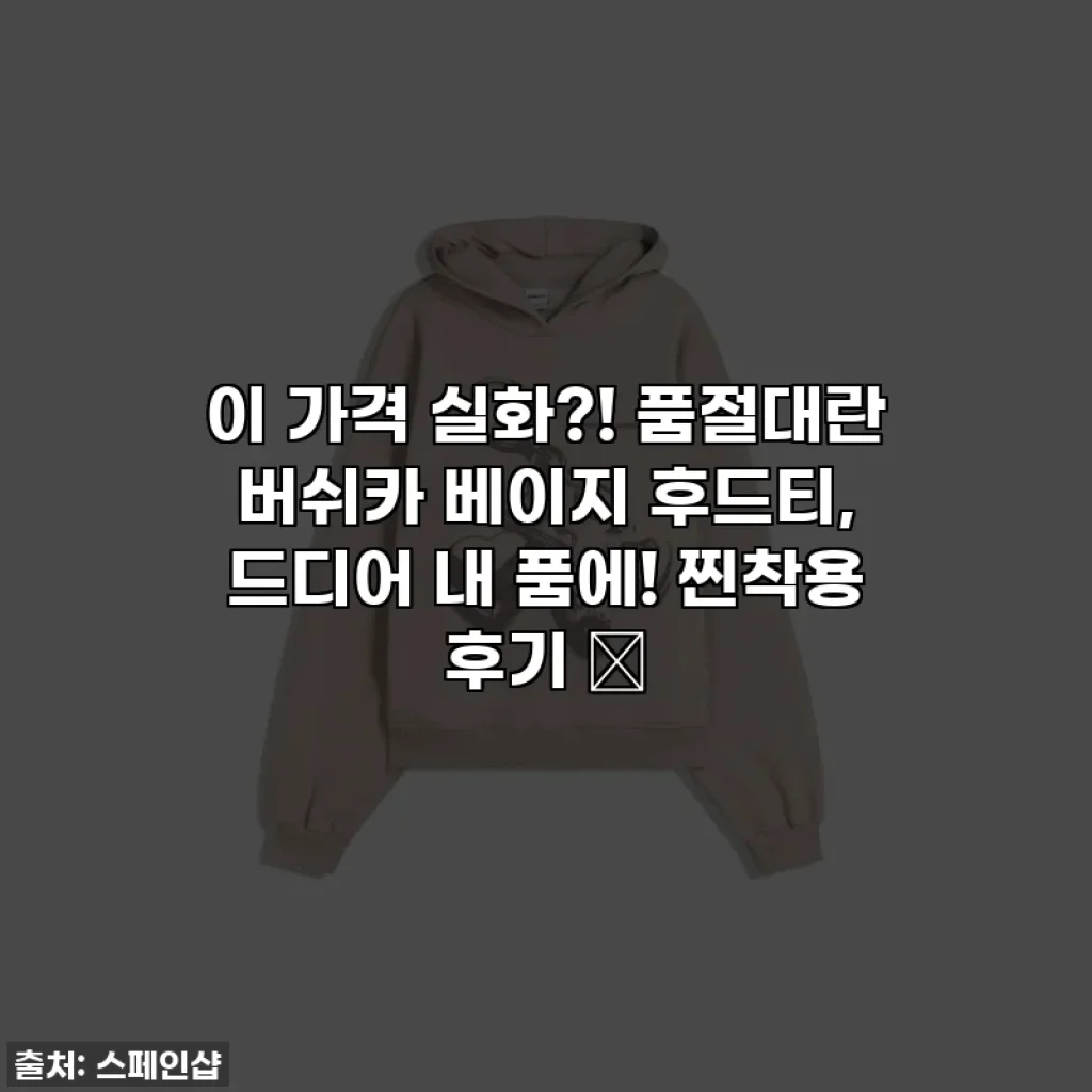 이 가격 실화?! 품절대란 버쉬카 베이지 후드티, 드디어 내 품에! 찐착용 후기 ღ