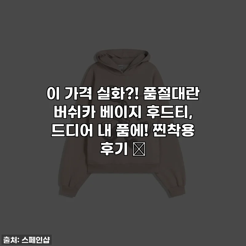 이 가격 실화?! 품절대란 버쉬카 베이지 후드티, 드디어 내 품에! 찐착용 후기 ღ