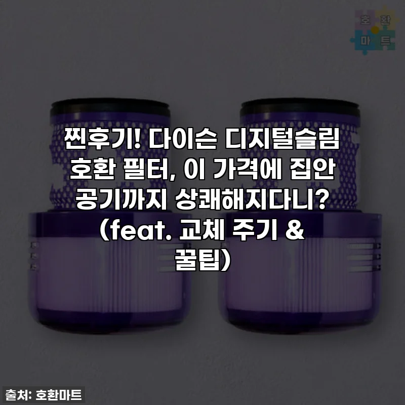 찐후기! 다이슨 디지털슬림 호환 필터, 이 가격에 집안 공기까지 상쾌해지다니? (feat. 교체 주기 & 꿀팁)