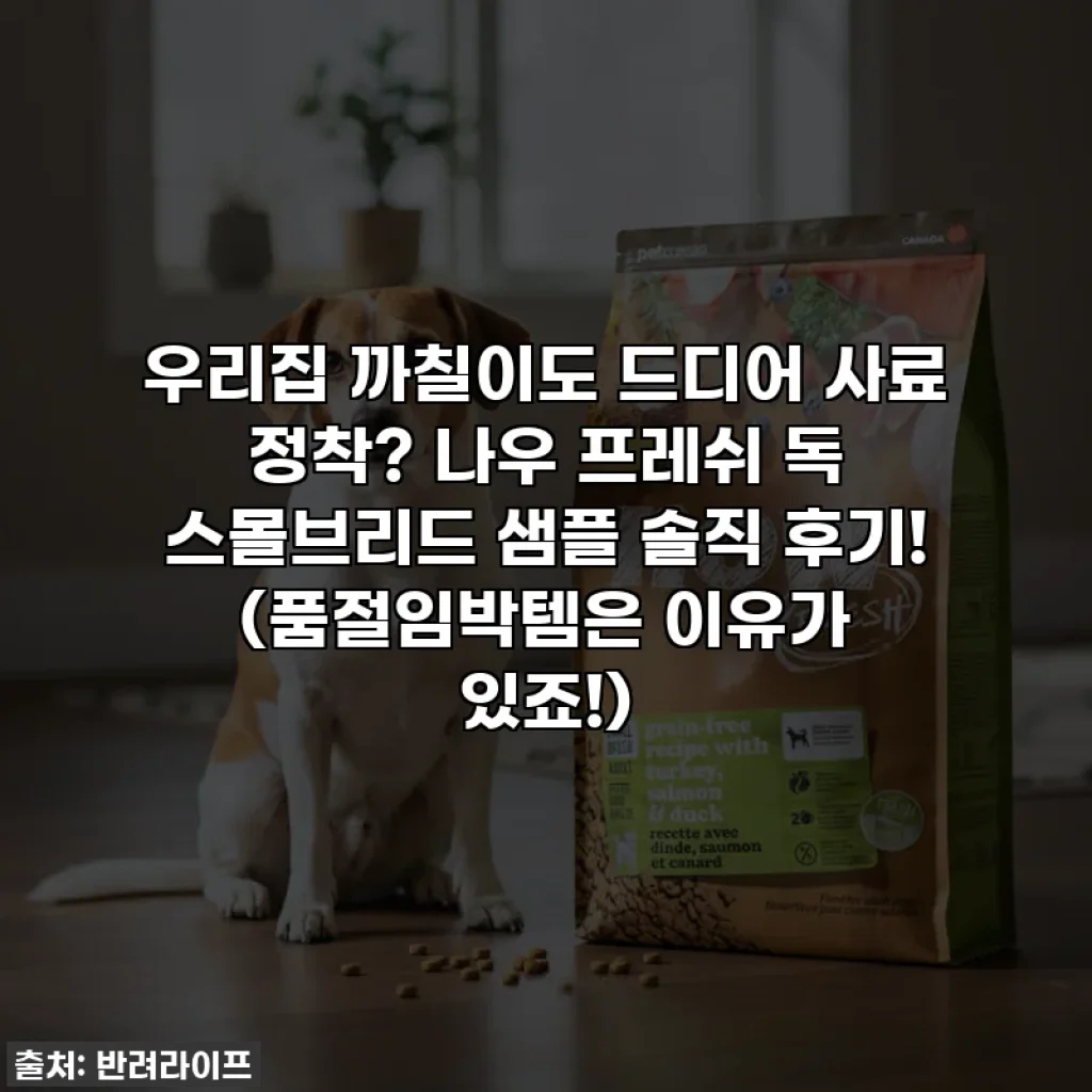 우리집 까칠이도 드디어 사료 정착? 나우 프레쉬 독 스몰브리드 샘플 솔직 후기! (품절임박템은 이유가 있죠!)