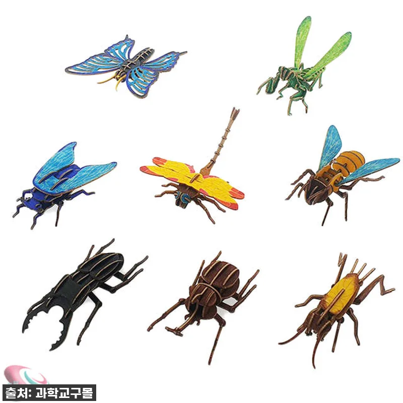 이거 진짜 대박! '곤충모형만들기 나 관련 이미지 1