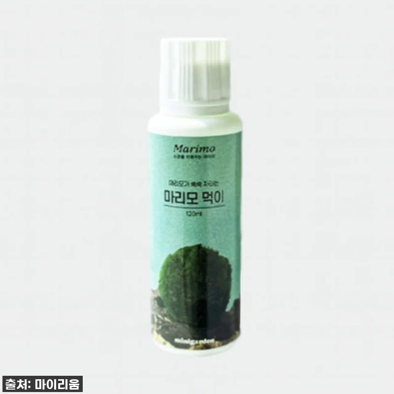 마리모 엄마들 주목! ✨ 우리 아가들 관련 이미지 2