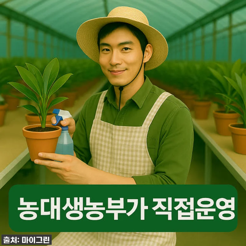 이 가격 실화?! 몬스테라 아단소니, 관련 이미지 3