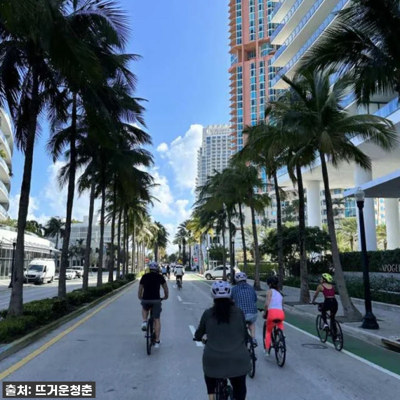 마이애미 비치 자전거/eBike 투어 관련 이미지 4