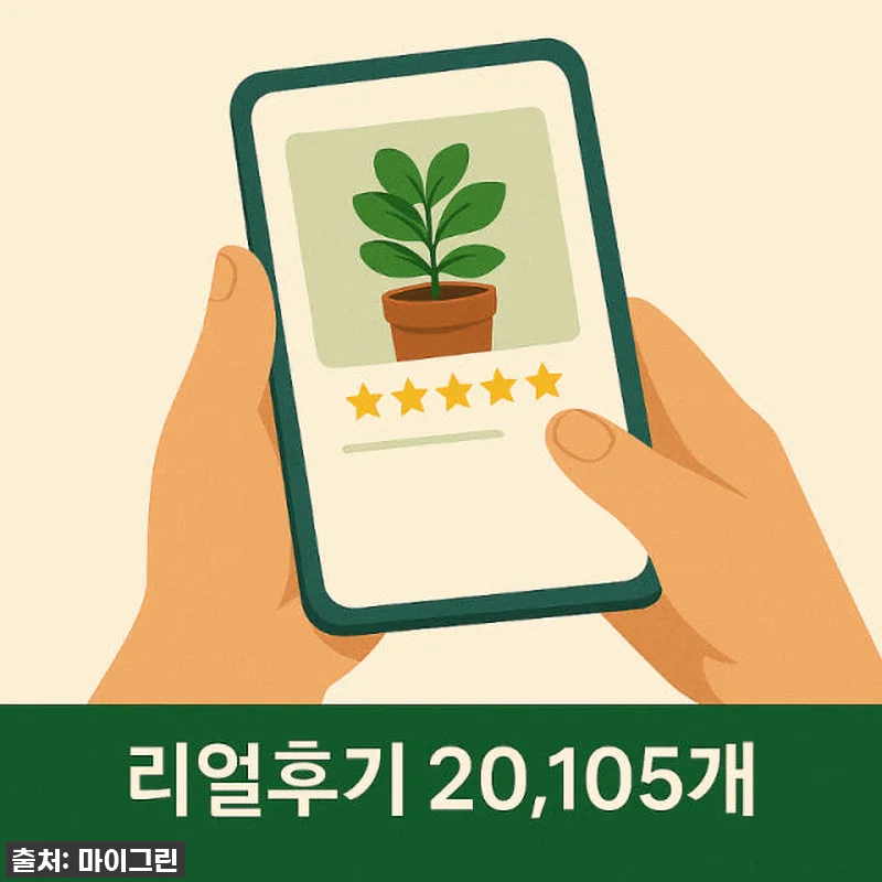 이 가격 실화?! 몬스테라 아단소니, 관련 이미지 5