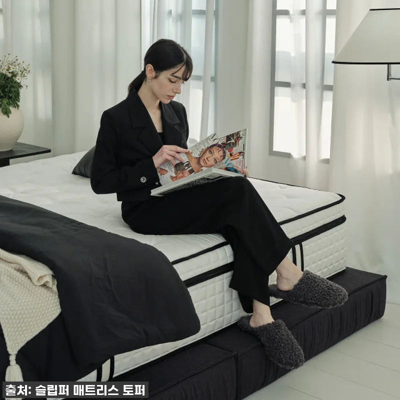 역대급 실물 깡패! 슬립퍼 시크 패브 관련 이미지 5