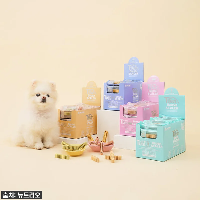강아지 치석고민 끝! 뉴트리오 티덴브 관련 이미지 6